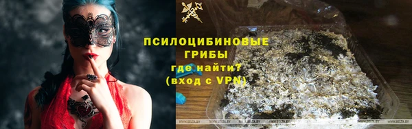 стаф Волосово