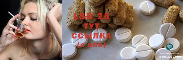 СК Волоколамск