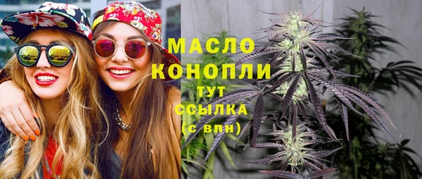 СК Волоколамск