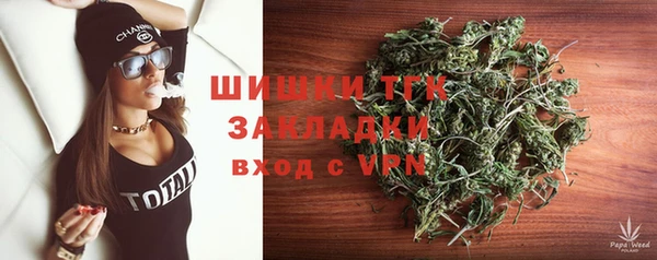 стаф Волосово