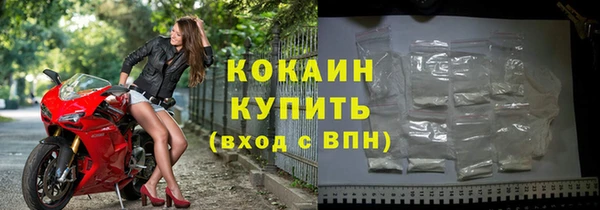 стаф Волосово