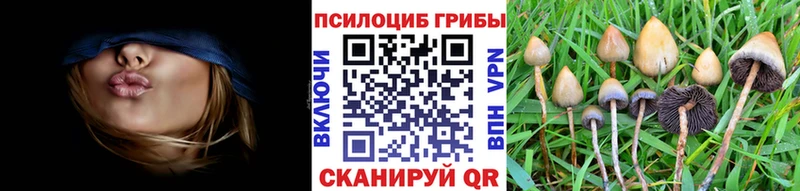 где продают наркотики Снежинск Псилоцибиновые грибы мицелий