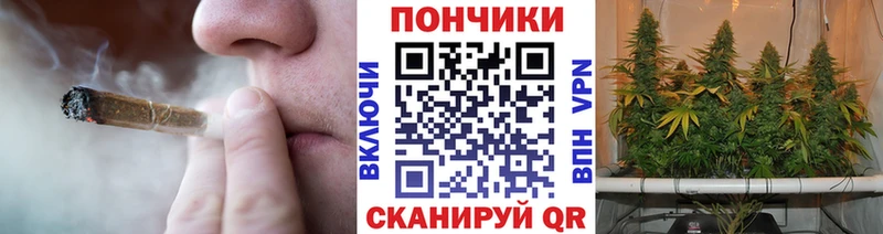 Бошки марихуана сатива  купить закладку  Снежинск 